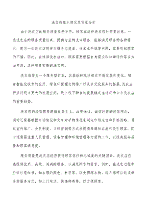 洗衣店基本情况及背景分析.docx