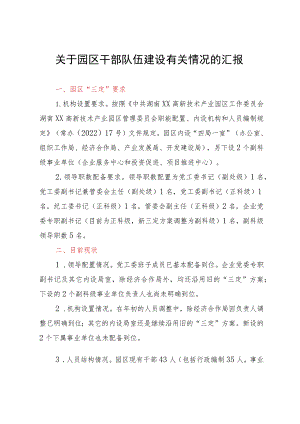 关于园区干部队伍建设有关情况的汇报.docx