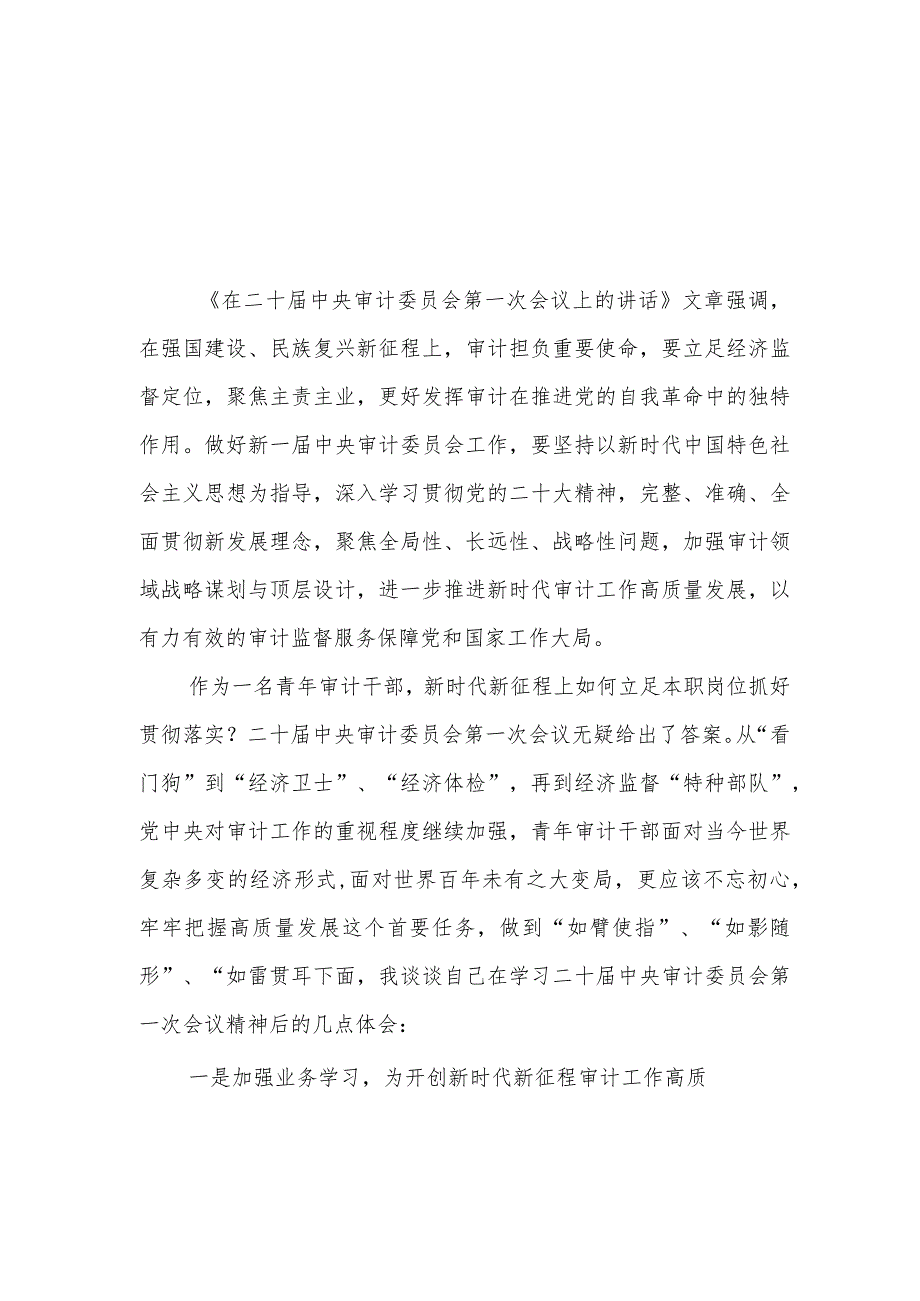 《求是》杂志重要文章《在二十届中央审计委员会第一次会议上的讲话》学习心得5篇.docx_第3页