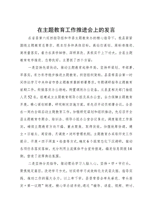 某县在主题教育工作推进会上的发言.docx