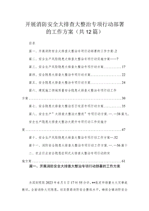 开展消防安全大排查大整治专项行动部署的工作方案12篇供参考.docx