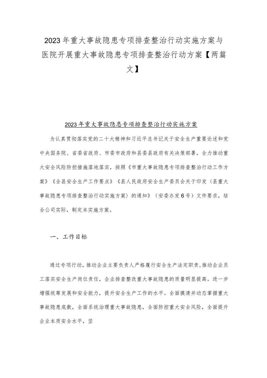 2023年重大事故隐患专项排查整治行动实施方案与医院开展重大事故隐患专项排查整治行动方案【两篇文】.docx_第1页