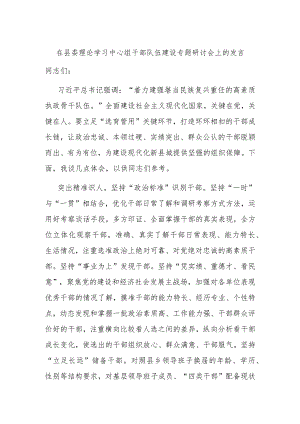 在县委理论学习中心组干部队伍建设专题研讨会上的发言.docx