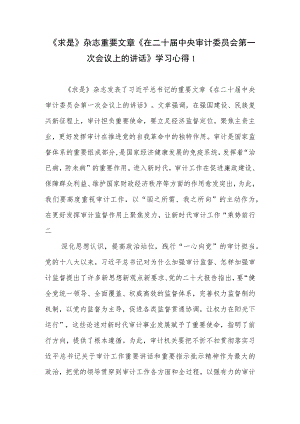 《求是》杂志重要文章《在二十届中央审计委员会第一次会议上的讲话》学习心得10篇.docx