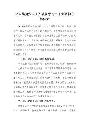 公安局治安支队支队长学习二十大精神心得体会.docx