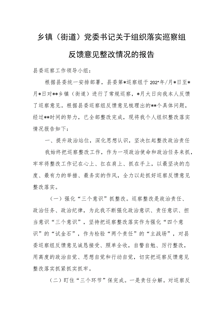 村党支部召开巡视整改专题组织生活会情况报告.docx_第3页