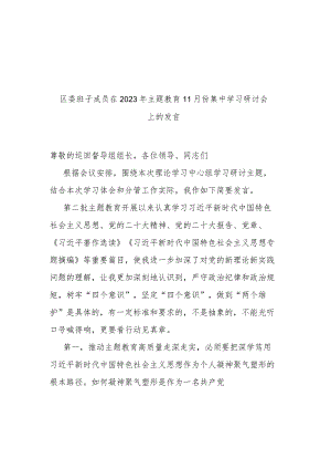 区委班子成员在2023年主题教育11月份集中学习研讨会上的发言(二篇).docx