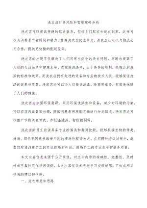 洗衣店财务风险和营销策略分析.docx