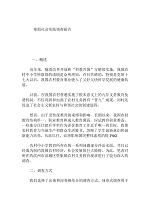 寒假社会实践调查报告.docx