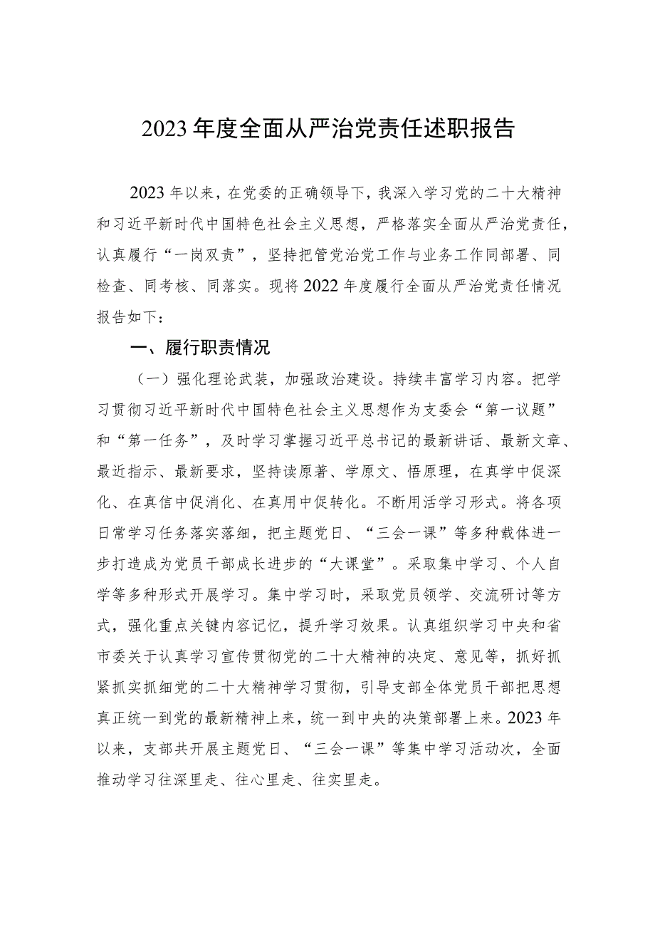 2023年度全面从严治党责任述职报告.docx_第1页