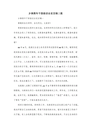 乡镇青年干部座谈会发言稿2篇.docx