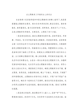 在主题教育工作推进会上的发言 .docx