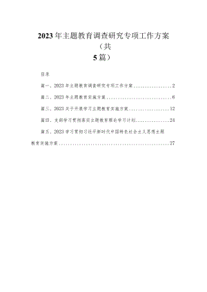 2023年专题调查研究专项工作方案（共5篇）.docx