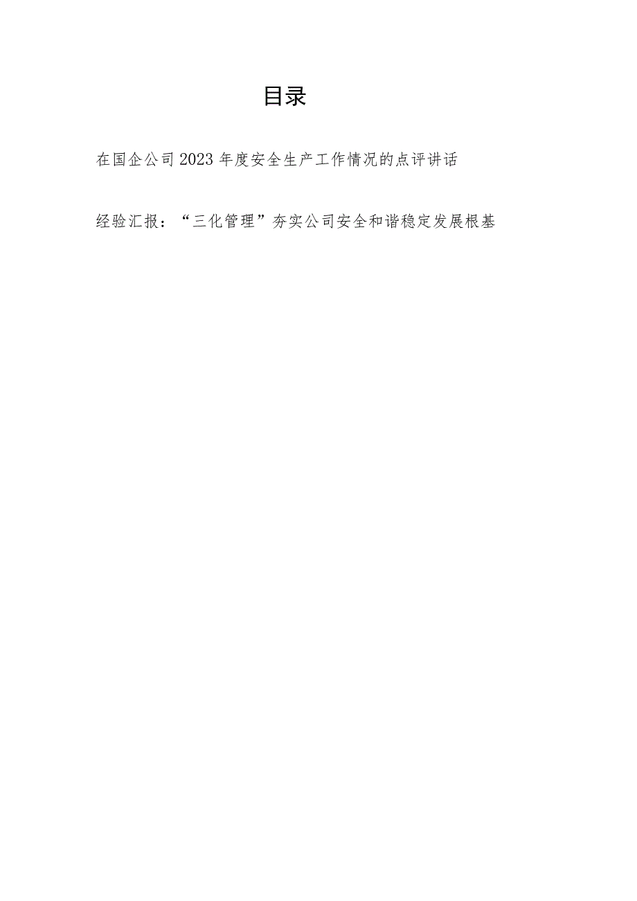 在国企公司2023年度安全生产工作情况的点评讲话和经验交流汇报.docx_第1页