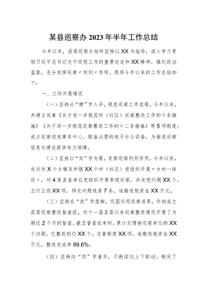 某县巡察办2023年半年工作总结.docx