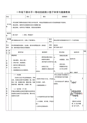 一年级下册水平一移动技能跳小垫子体育与健康教案.docx