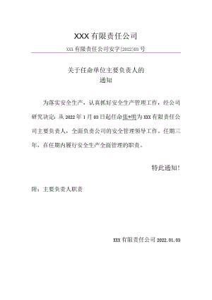 生产公司安全生产标准化任命单位主要负责人的通知.docx