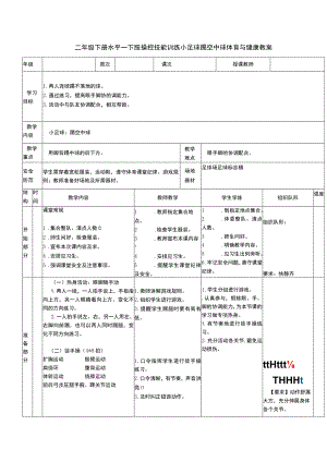 二年级下册水平一下肢操控技能训练小足球踢空中球体育与健康教案.docx