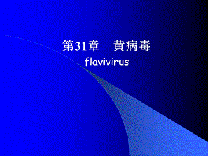 第31章黄病毒flavivirus名师编辑PPT课件.ppt