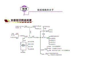 第2章组成细胞分子.ppt