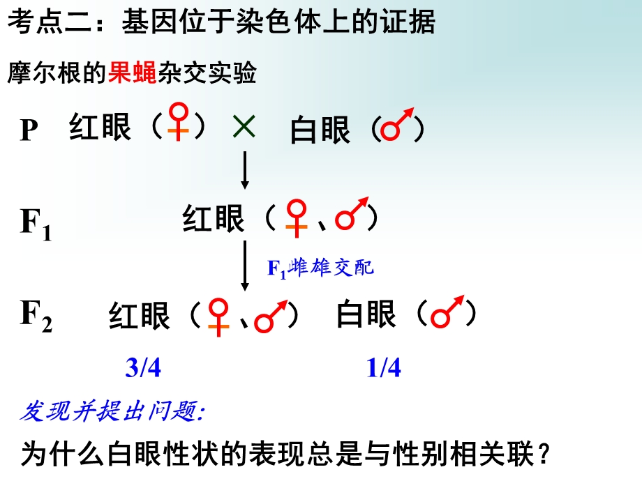 第2部分基因在染色体上名师编辑PPT课件.ppt_第3页