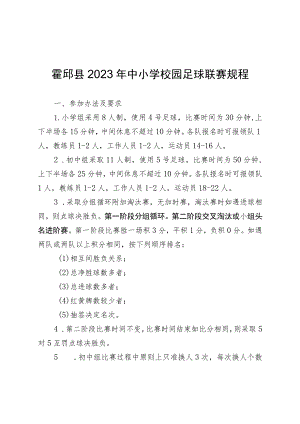 霍邱县2023年中小学校园足球联赛规程.docx