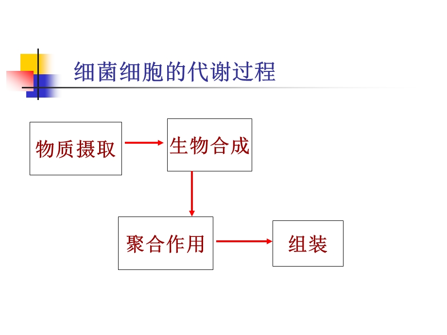 第2章细菌的生理特性.ppt_第3页