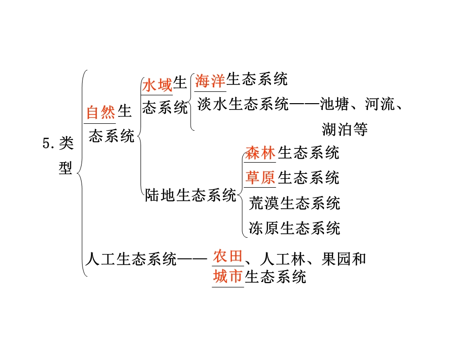 第36课时生态系统的结构.ppt_第2页