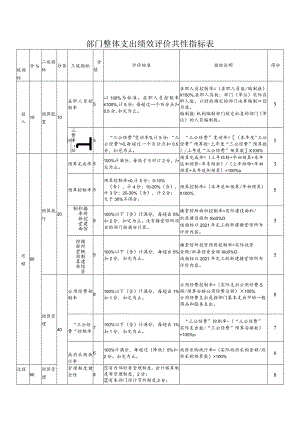 部门整体支出绩效评价共性指标表.docx