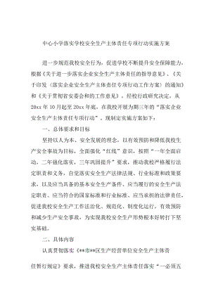 中心小学落实学校安全生产主体责任专项行动实施方案.docx