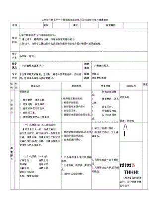 二年级下册水平一下肢操控技能训练小足球运球体育与健康教案.docx