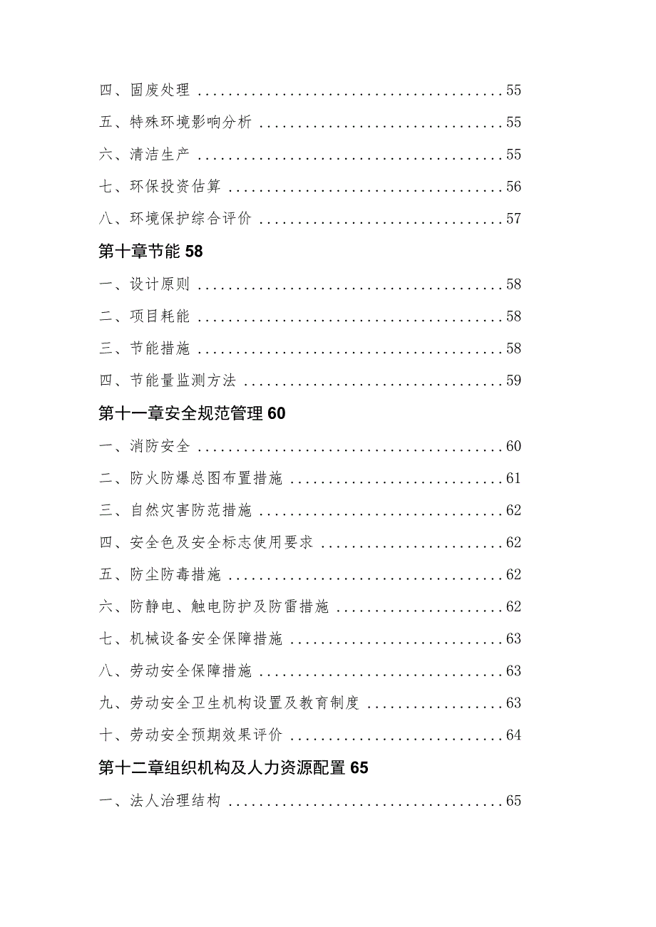 年产20万吨锂电池负极材料可研报告.docx_第3页