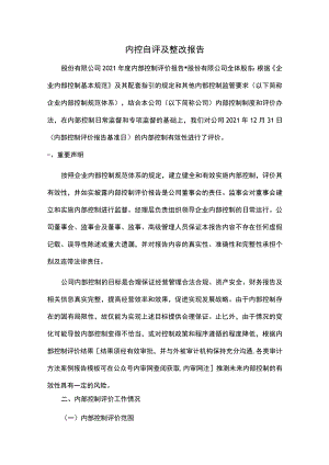 内控自评及整改报告.docx