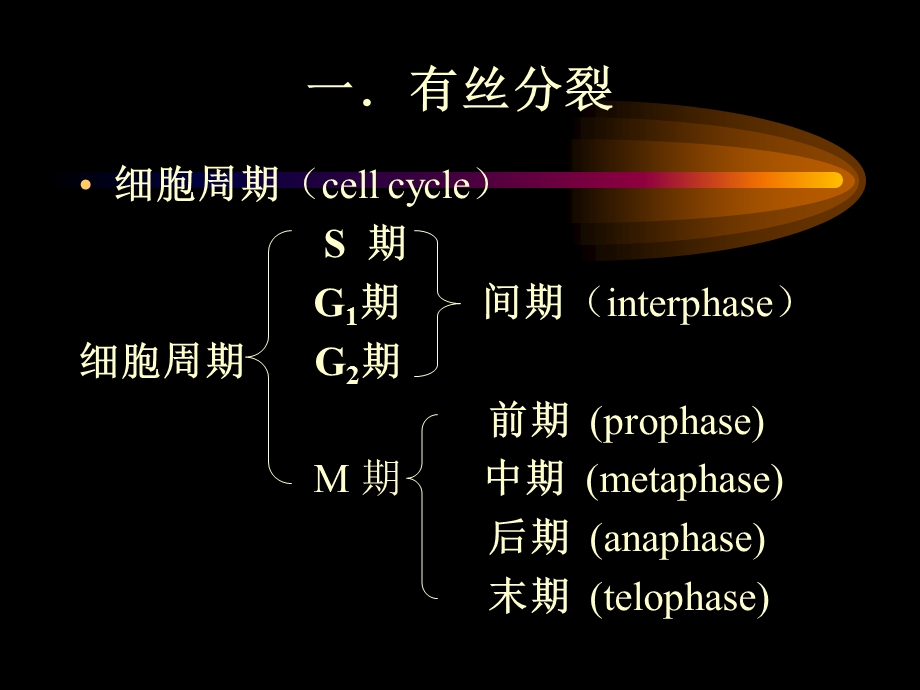 第2讲遗传的染色体学说.ppt_第2页