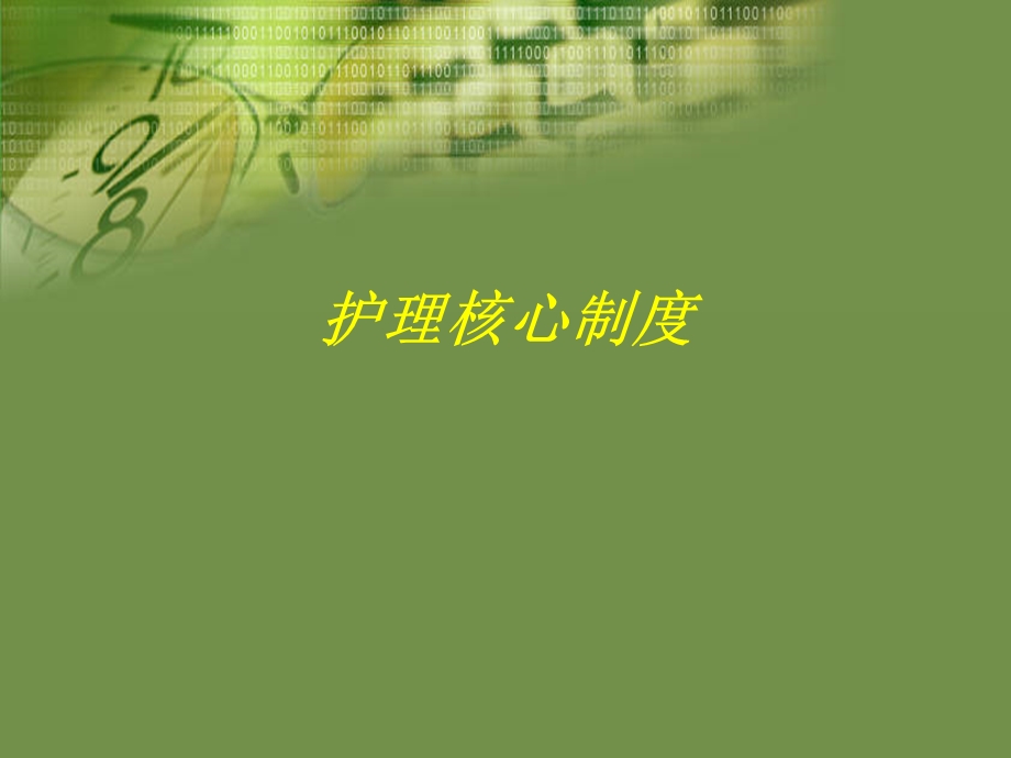 护理核心制度.ppt.ppt_第1页