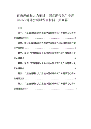 “正确理解和大力推进中国式现代化”专题学习心得体会研讨发言材料最新精选版【六篇】.docx