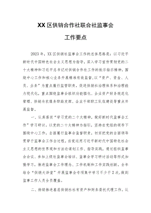 XX区供销合作社联合社监事会工作要点.docx