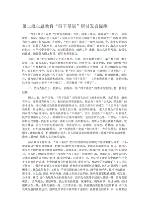 第二批主题教育“四下基层”研讨发言提纲.docx