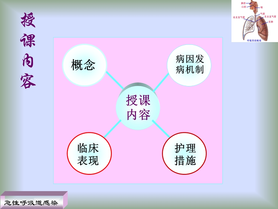 第一节护理急性呼吸道感染病人精要.ppt_第2页