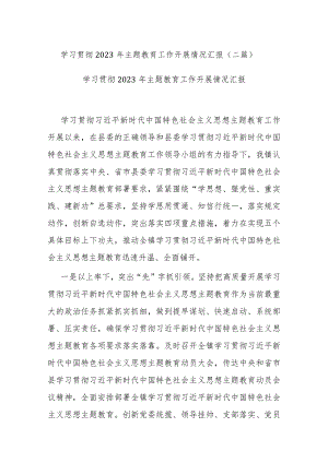 学习贯彻2023年主题教育工作开展情况汇报(二篇).docx