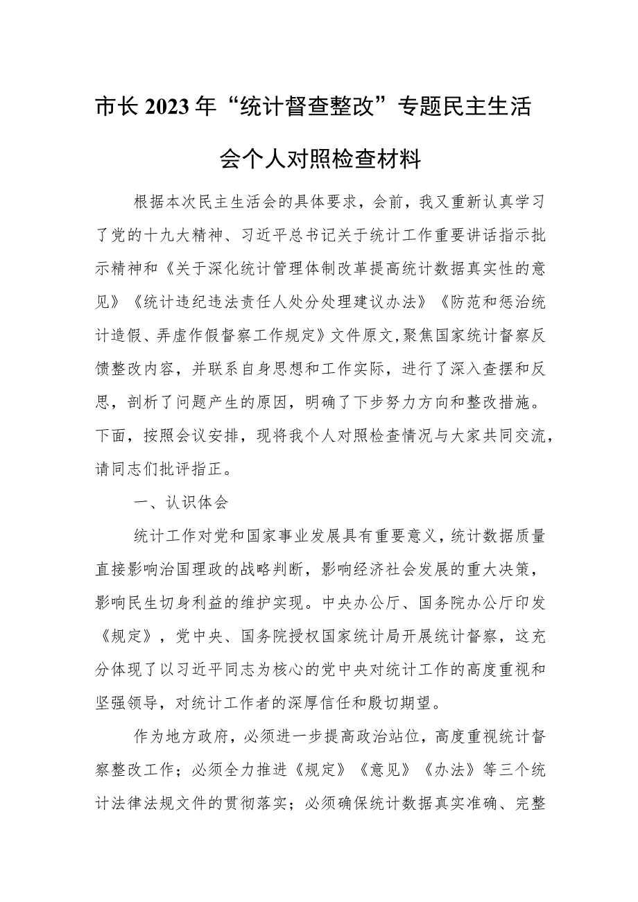 市长2023年“统计督查整改”专题民主生活会个人对照检查材料.docx_第1页