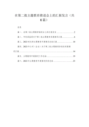 在第二批专题推进会上的汇报发言（共6篇）.docx