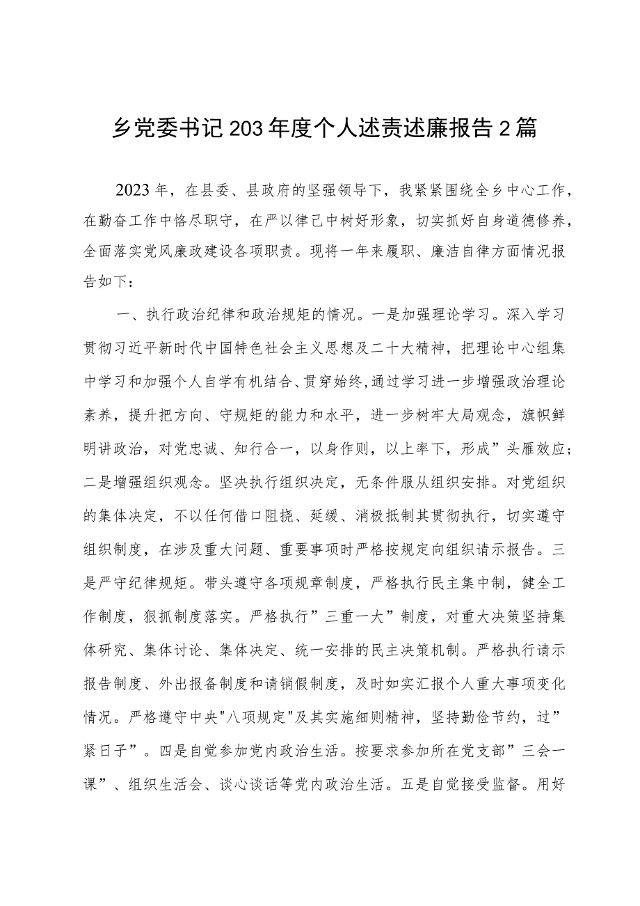 乡党委书记203年度个人述责述廉报告2篇.docx_第1页