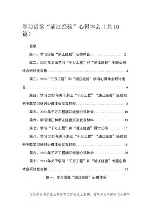 学习借鉴“浦江经验”心得体会10篇供参考.docx