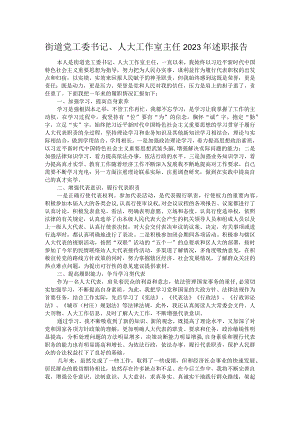 街道党工委书记、人大工作室主任2023年述职报告.docx