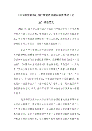 2023年党委书记履行推进法治建设职责情况（述法）报告范文.docx