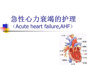 【医学课件】急性心力衰竭的护理.ppt