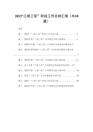 （10篇）“三抓三促”阶段工作总结汇报精选.docx