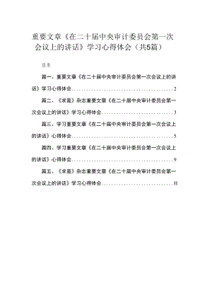 重要文章《在二十届中央审计委员会第一次会议上的讲话》学习心得体会5篇供参考.docx