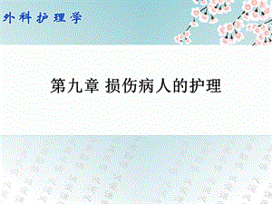 第九章损伤病人的护理.ppt